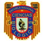 Escuela
